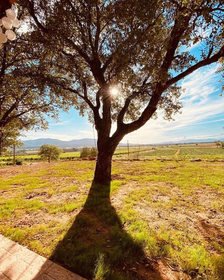 Appartement When In Maremma à Alberese Extérieur photo
